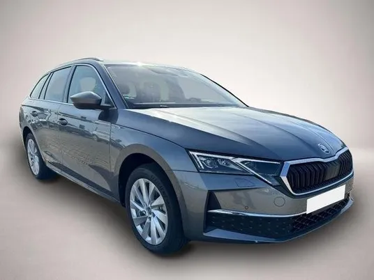 Skoda Andere