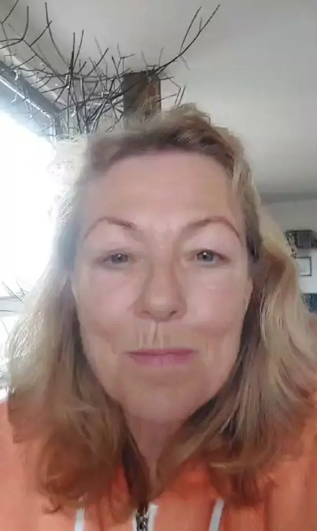 Ihr Online Autohaus F r Gebrauchtwagen Wiveda